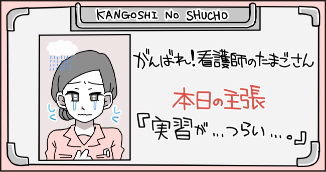 がんばれ!看護師のたまごさん 本日の主張 「実習が・・・辛い・・・。」しく しく