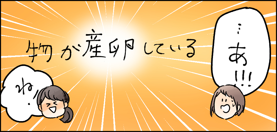 物が産卵している「・・・あ!!!」「ね!」