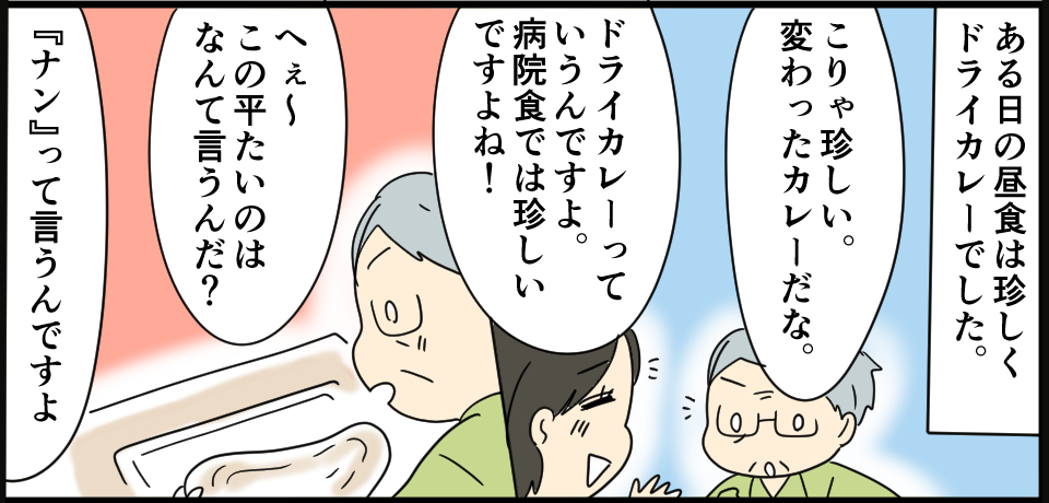 ある日の昼食は珍しくドライカレーでした。「こりゃ珍しい変わったカレーだな。」「ドライカレーっていうんですよ。病院食では珍しいですよね!」「へぇ~この平たいのはなんていうんだ?」「『ナン』って言うんですよ」