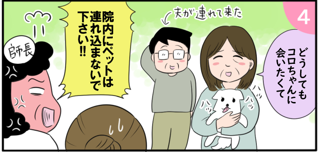「どうしてもコロちゃんに会いたくて」ハッ ハッ ハッ 夫が連れてきた 師長「院内にペットは持ち込まないでください!!」