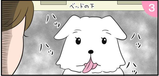 ベッドの下 ハッ ハッ ハッ ハッ